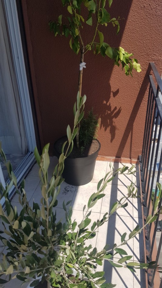 Tres ambientes con balcon y cochera.